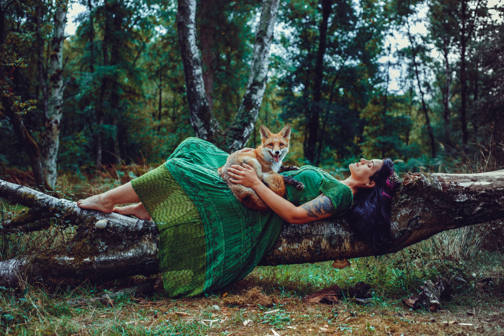 Into the woods